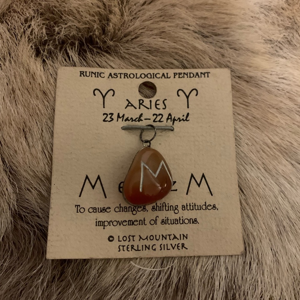 Aries Red Agate Stone Nordic Rune Ehwaz Mars Pendant Only Made in Brazil